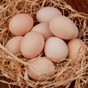 Chicken Eggs - per dozen