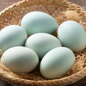 Duck Eggs - per dozen