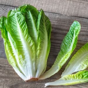 Romaine Lettuce - per head