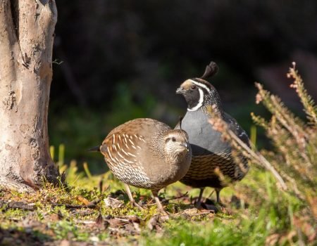 erik-mooiman-rQCuAmgIXU0-unsplash